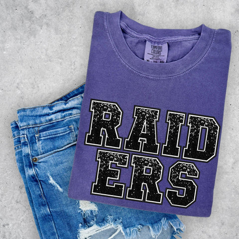 Raiders - Faux Sequins Mega Deal (Closes 10/25)