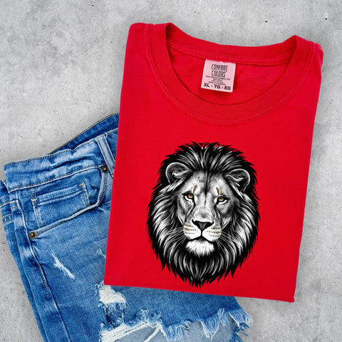 Lion Head Mascot