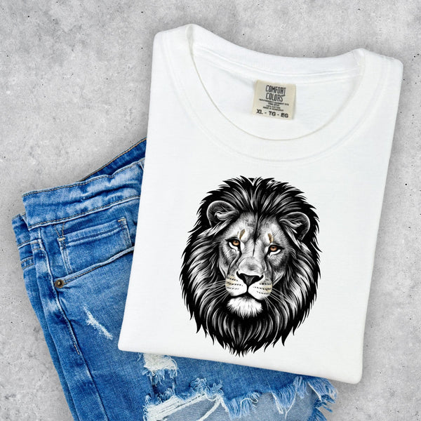 Lion Head Mascot
