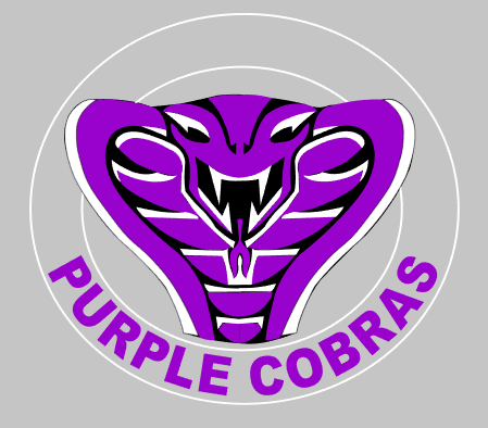 Purple Cobras Softball